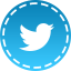 Twitter Icon