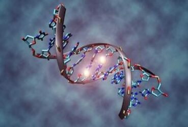 Regenerative Stem Cell Therapy