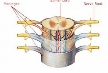 Neurological Relief